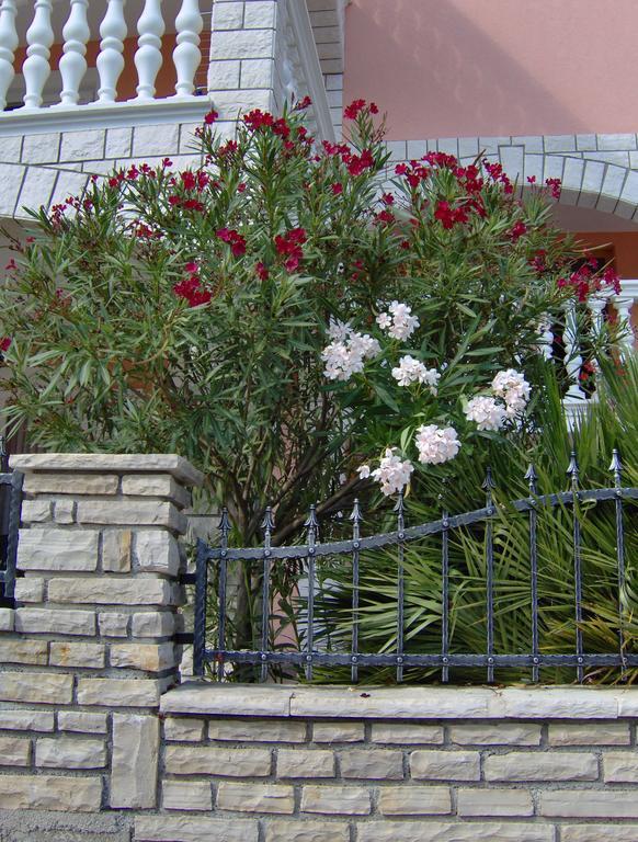 Apartments Tonimir Vodice Eksteriør bilde